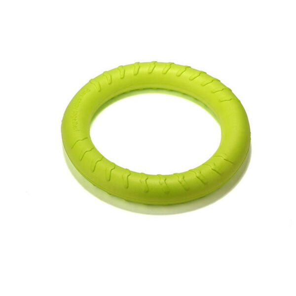 Anneau de jeu flottant