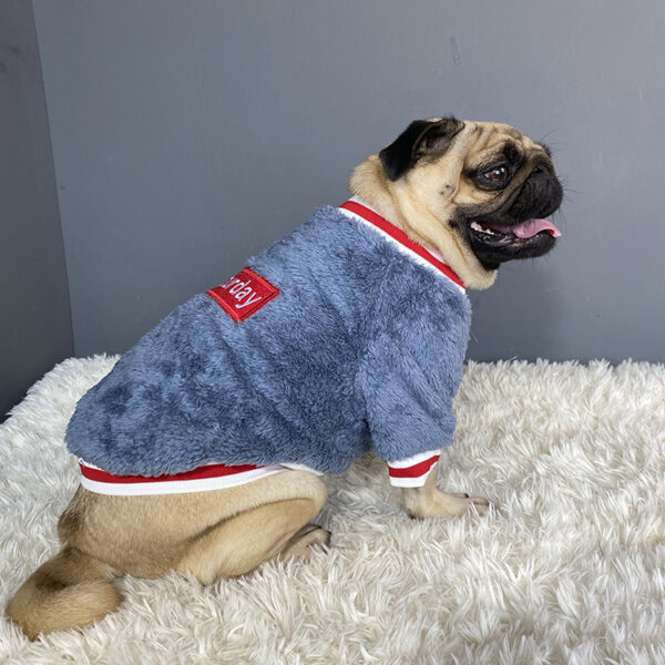 Pull en maille pour chien