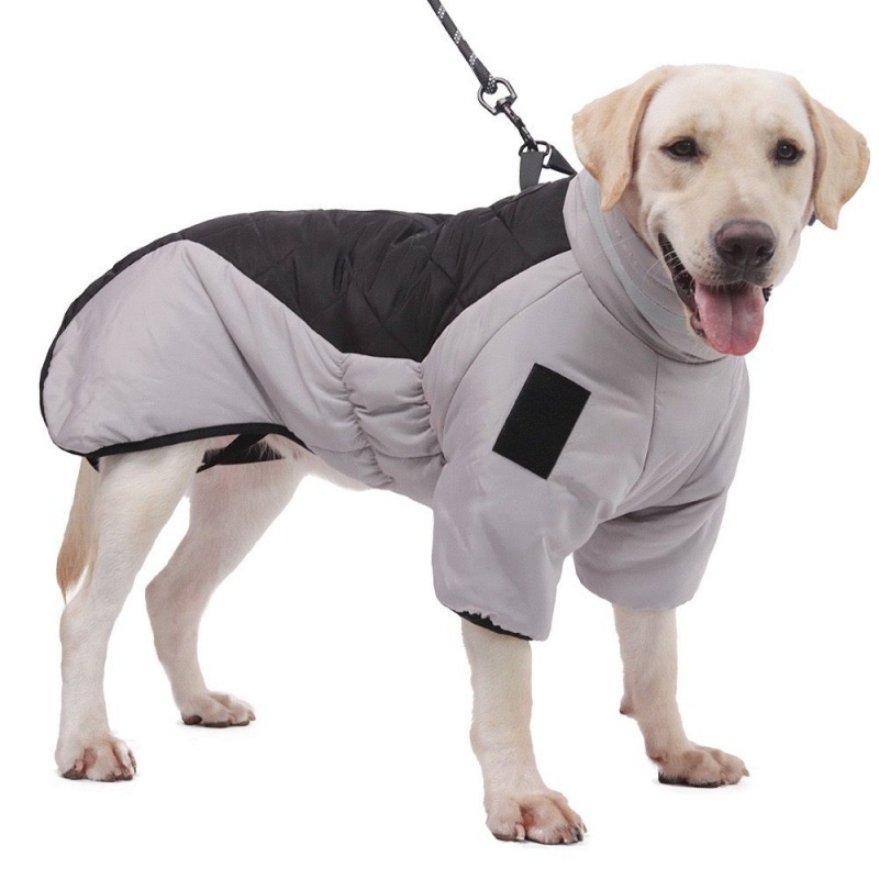 Manteau d'hiver pour moyen et grand chien